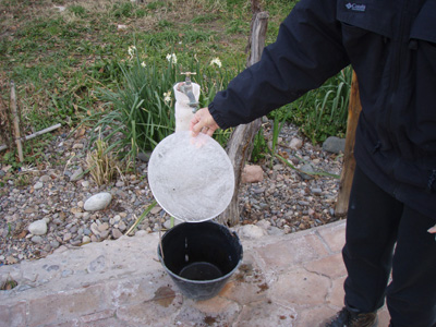 P8080048 11am and 1cm of ice in the dogs water bucket.jpg